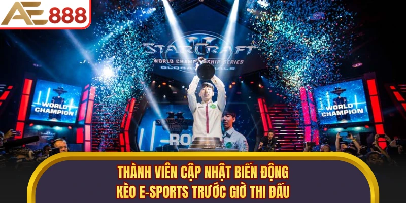 Thành viên cập nhật biến động kèo E-Sports trước giờ thi đấu